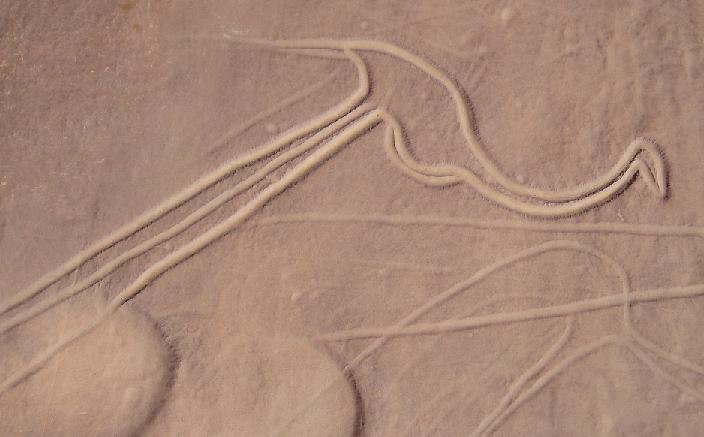 ا اساطير وخرفات الانسان الصحراوي القديم                                        Bbb-11